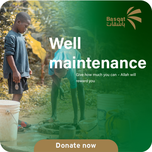 Well maintenance