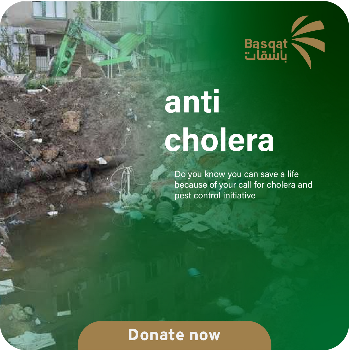 anti-cholera